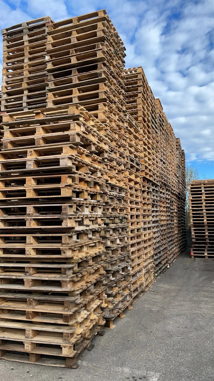 Palets de madera apilados para su revisión y clasificación en Palets Tornero